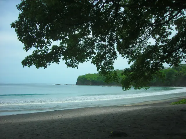 Playa de aguas tranquilas en la Península de Papagayo bajo la sombra de un árbol